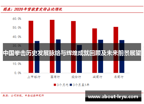 中国拳击历史发展脉络与辉煌成就回顾及未来前景展望