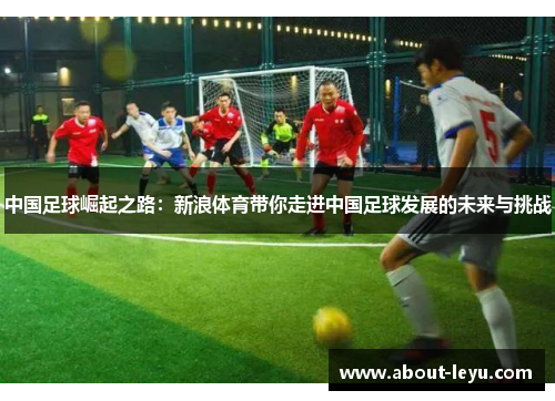 中国足球崛起之路：新浪体育带你走进中国足球发展的未来与挑战